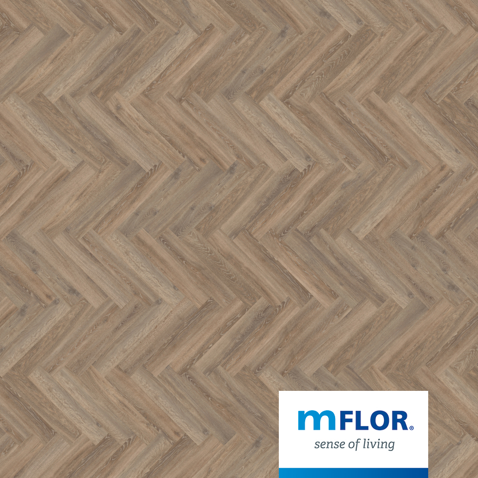 mFLOR-Parva-Oak-41213-Calabria-Frontal.jpg